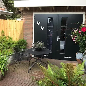 studio-appartment-evi.zandvoort-hotels.com/